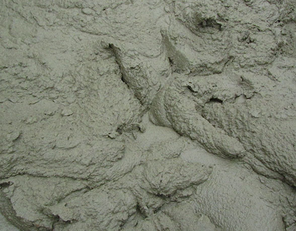 Цементный раствор  М50